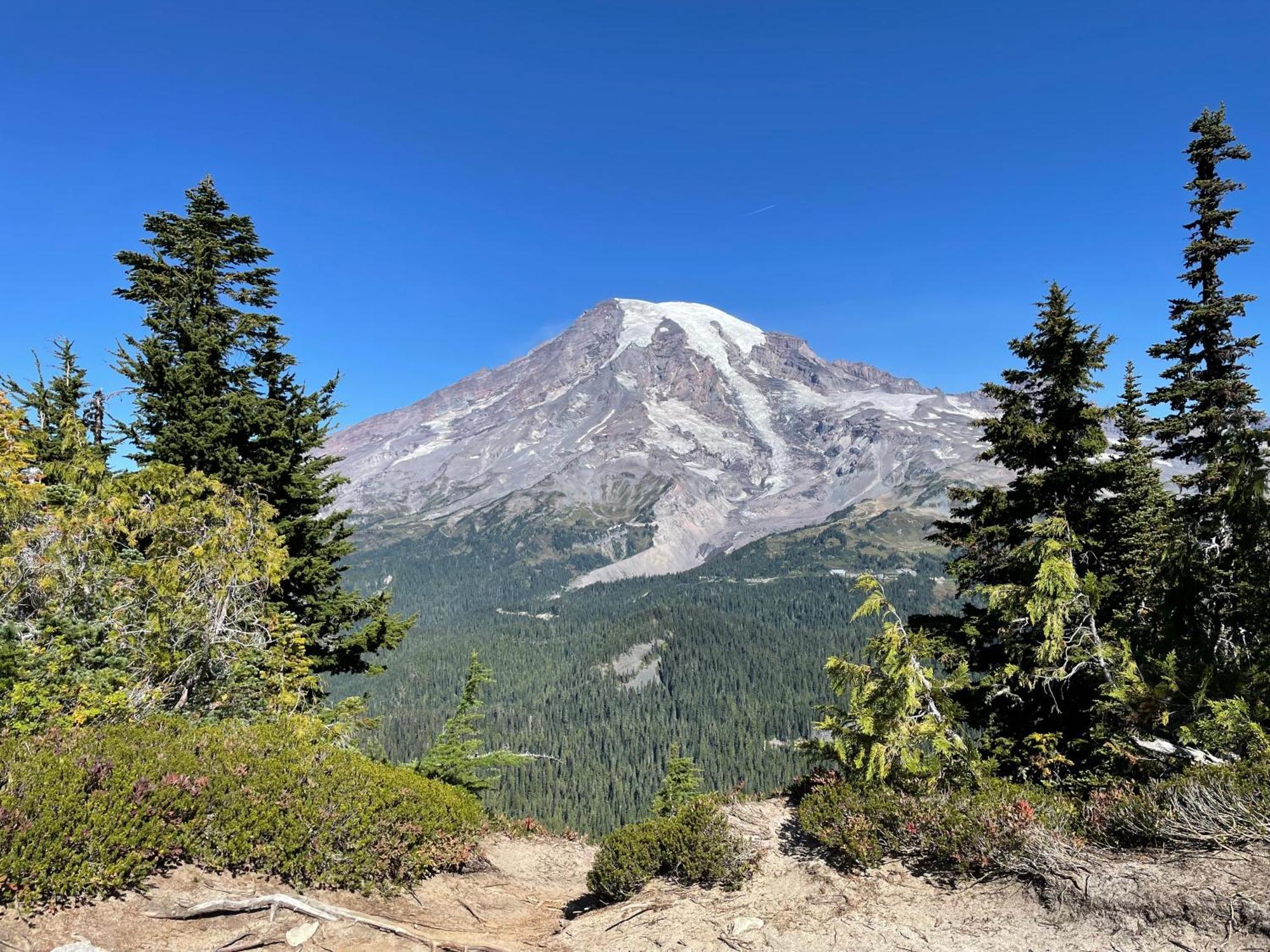 New Modern Cabin! 5Mi To Mt Rainier National Park! Hot Tub & Wifi Ashford Exteriér fotografie