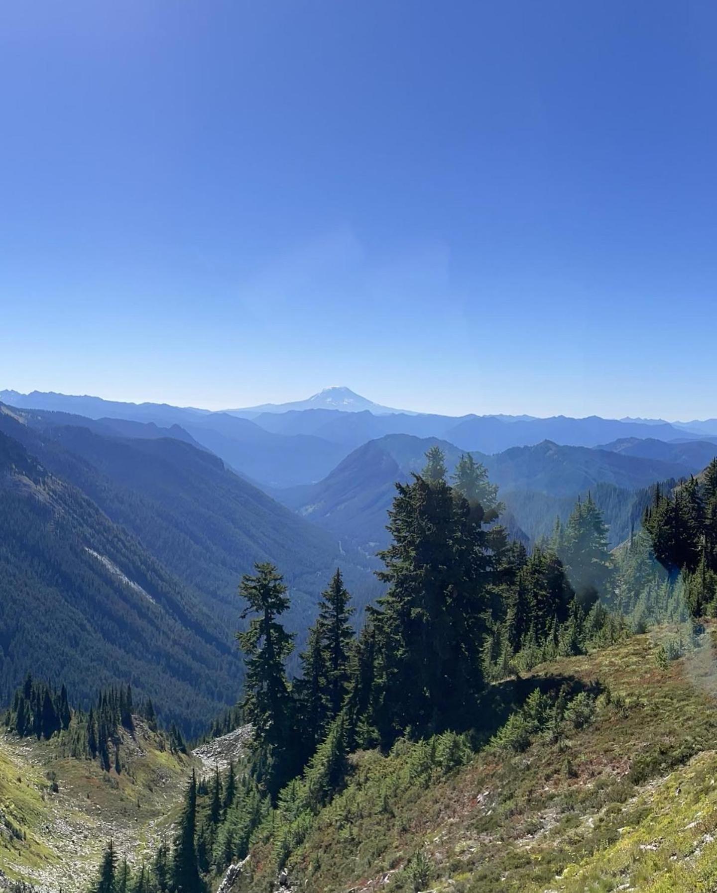 New Modern Cabin! 5Mi To Mt Rainier National Park! Hot Tub & Wifi Ashford Exteriér fotografie